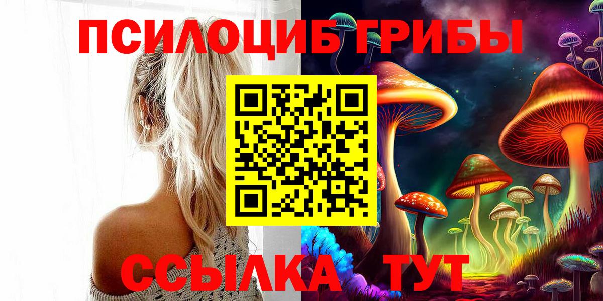 Псилоцибиновые грибы Cubensis Звенигород